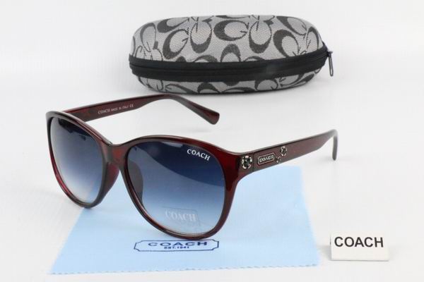 C0ACH Boutique Sunglasses 002